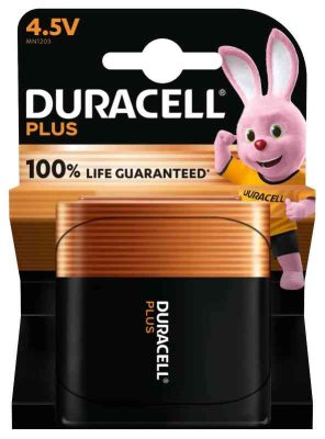 PILA PIATTA ALCALINA PLUS (MN1203) DURACELL