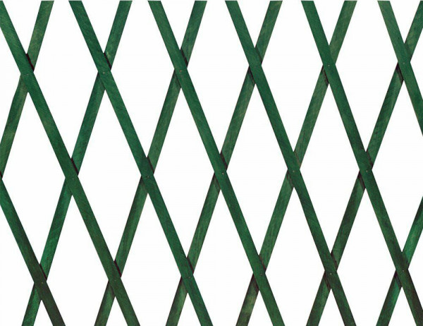 ESTENSIBILE PLASTICA 100X100 VERDE