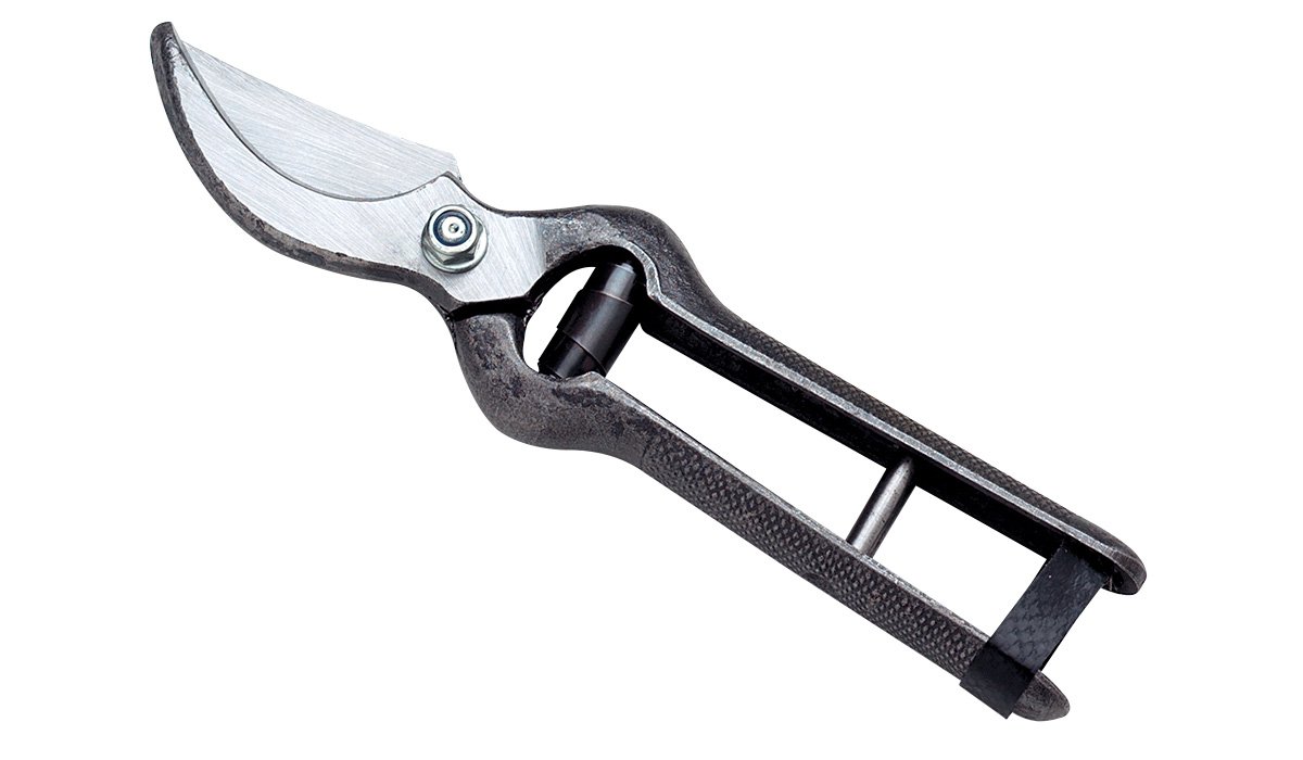 FORBICE VIGNA CUOIO CM.23