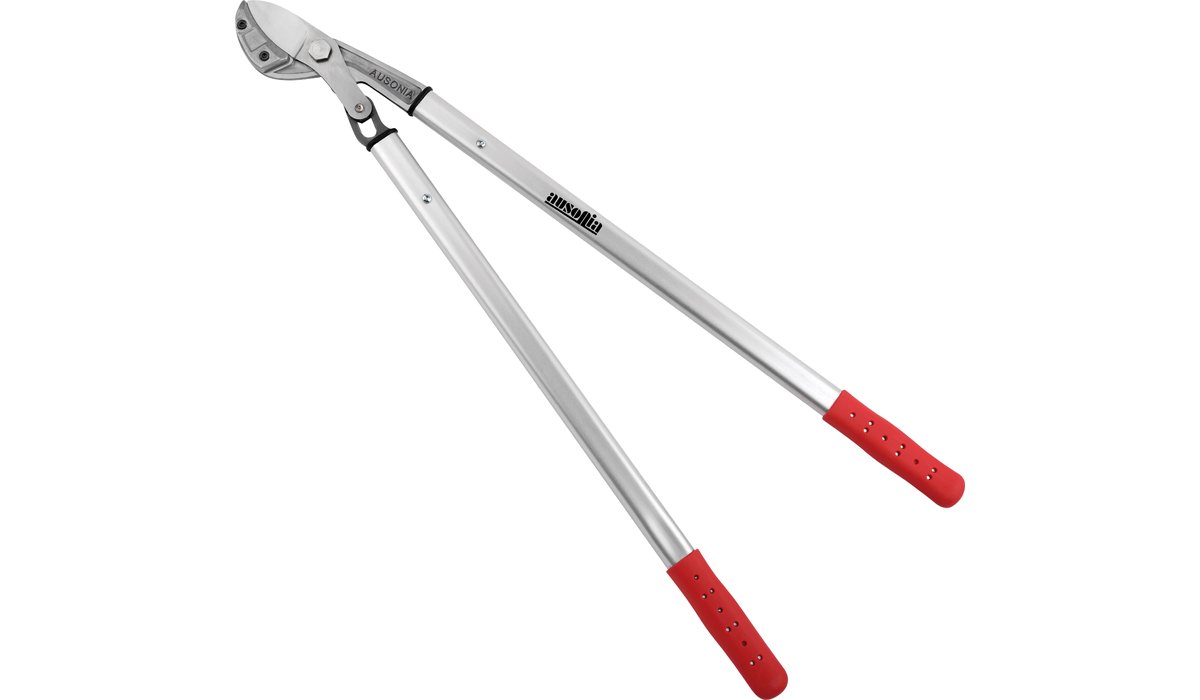 TRONCARAMI PROF CM 80 T/CURVO