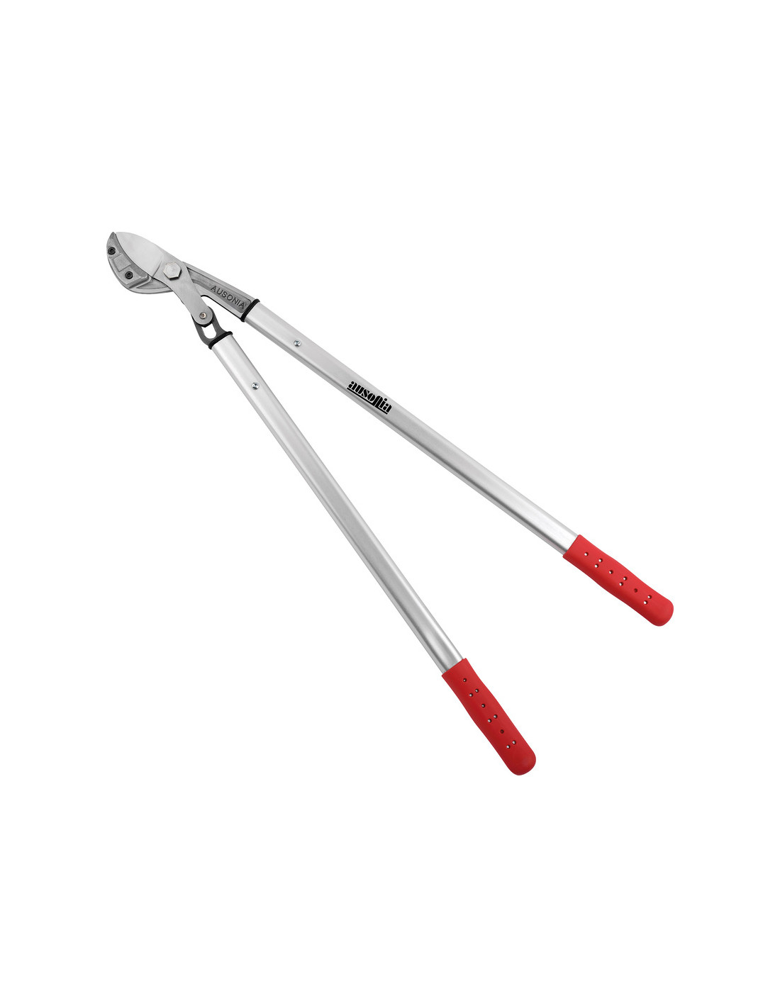 TRONCARAMI PROF CM 100 T/CURVO