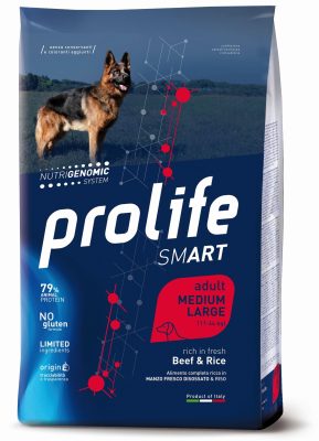 PL DOG SM BEEF & RICE M/L 12K