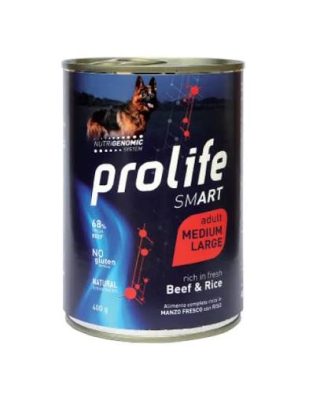 PL DOGW 400G SM BEEF & RICE M/L