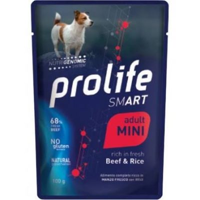 PL DOGW 100G SM BEEF & RICE BUSTA