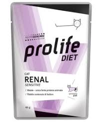 PL DIET CATW RENAL SENS. 85G