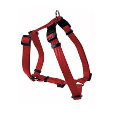 PETTORINA N.3 DR MM18 - ROSSO