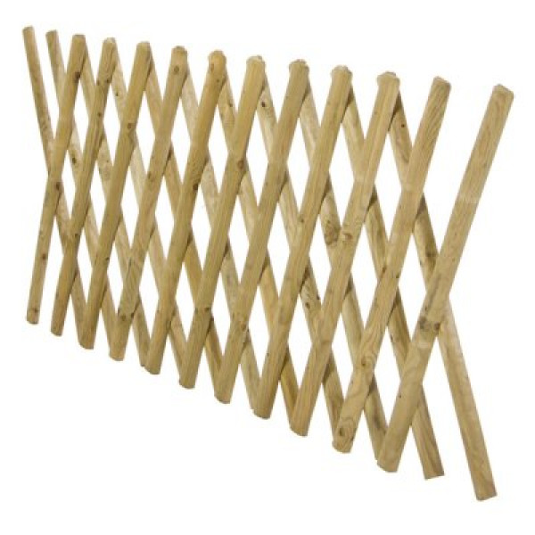 RECINZIONE ESTENSIBILE 100X250 IMPR