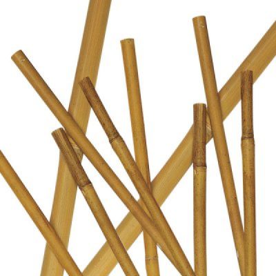 CANNETTA BAMBU' 8/10 CM. 90 (CONF. 7PZ)