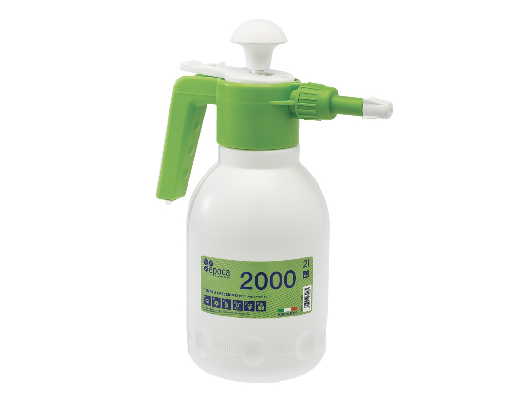 Epoca 2000