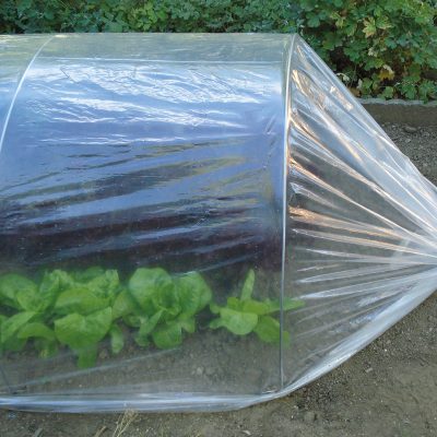 DOT FILM TRASPARENTE MICROFORATO PER PICCOLI TUNNEL ORTO SPESSORE 40 OMICRON, 2X10M