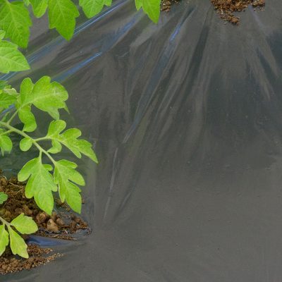DOT COVER FILM MICROFORATO PERMEABILE IN POLIETILENE SPESSORE 40 OMICRON 1,5X10M NERO
